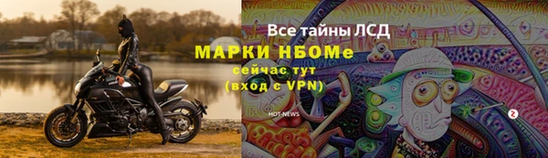 крисы Алексин