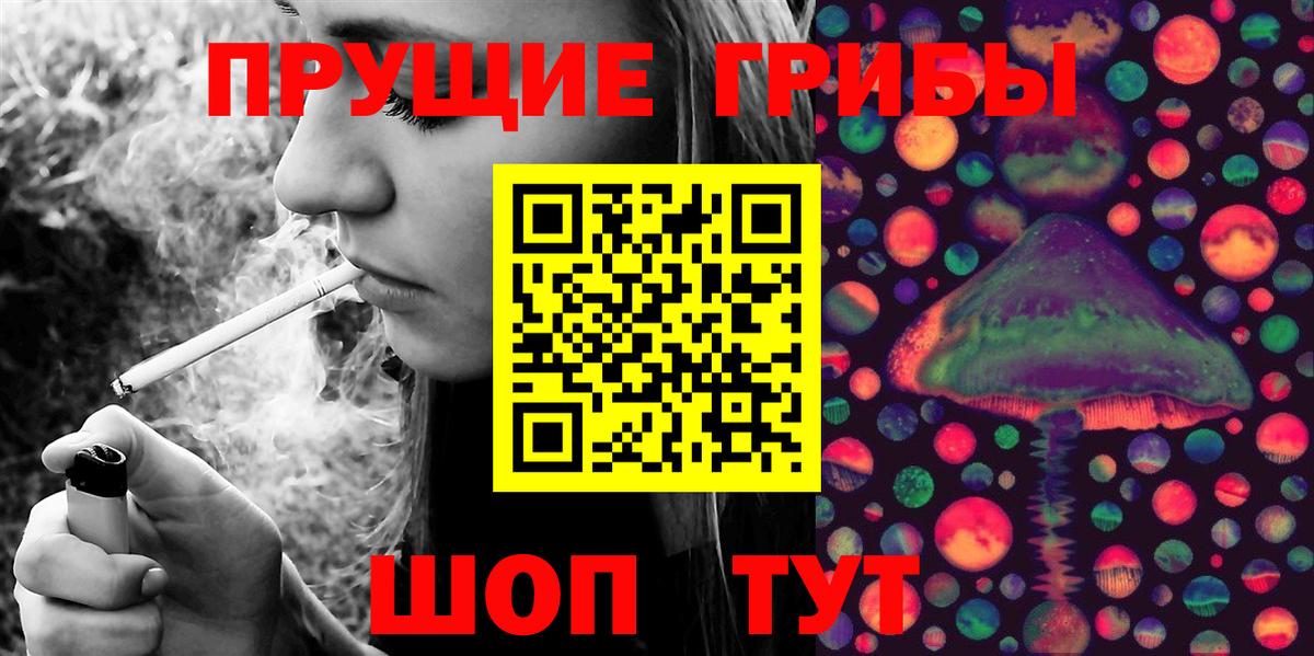 Псилоцибиновые грибы Psilocybe Алексин